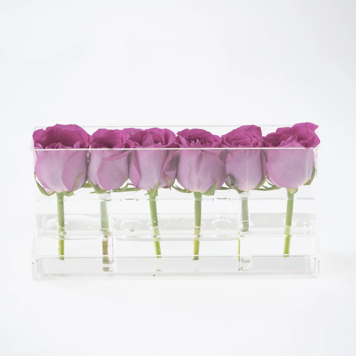 6 Roses Single