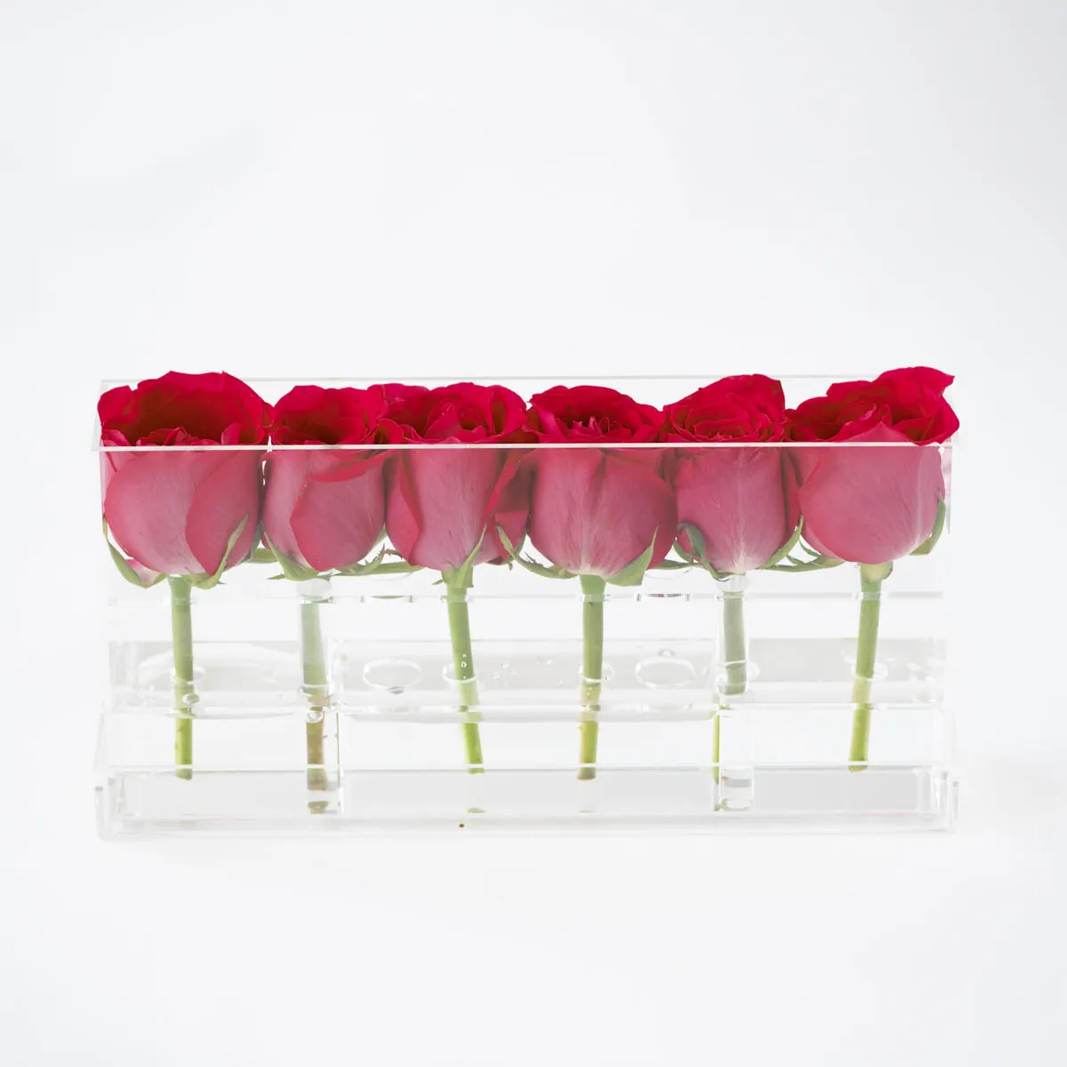 6 Roses Single