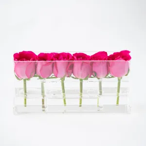 6 Roses Single