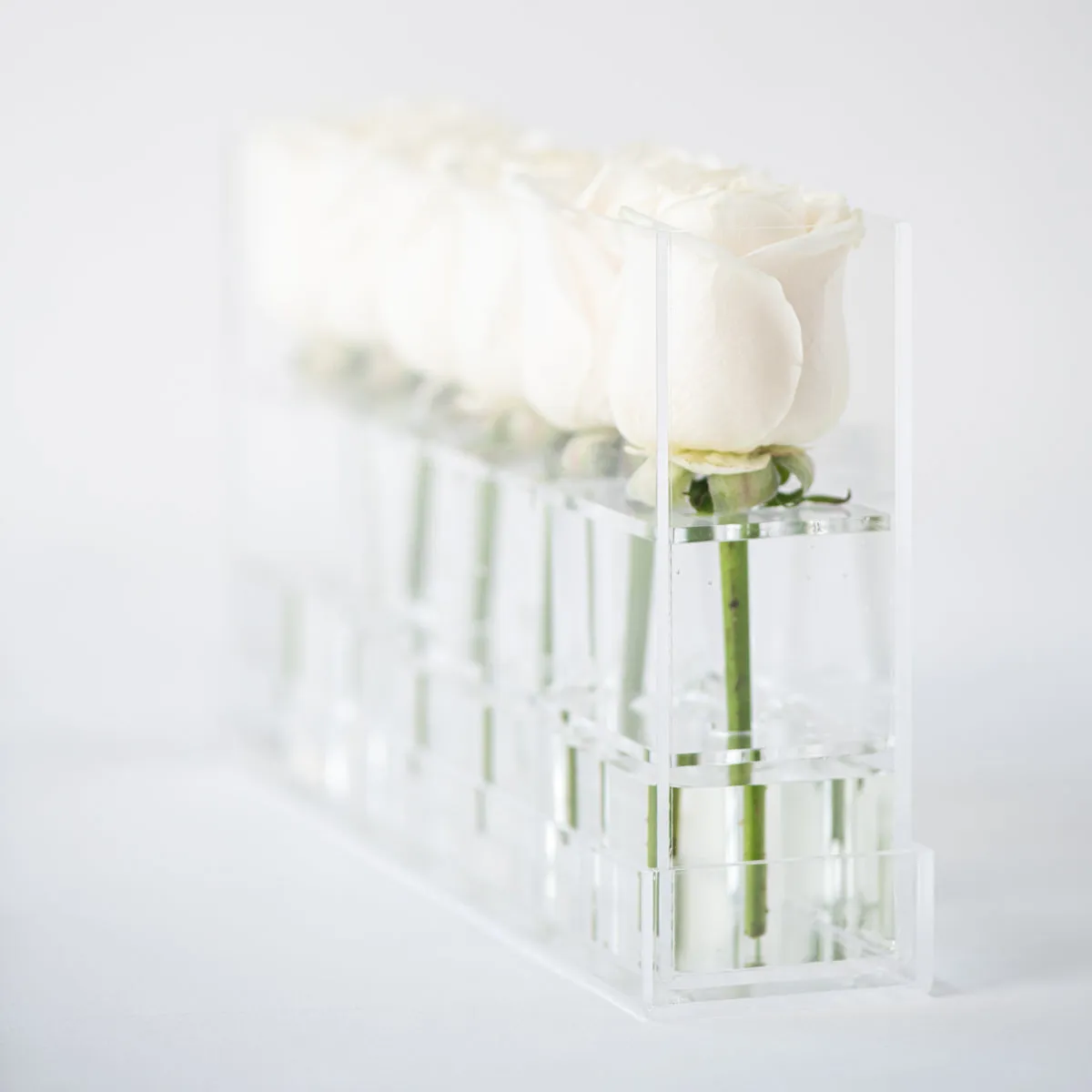 6 Roses Single