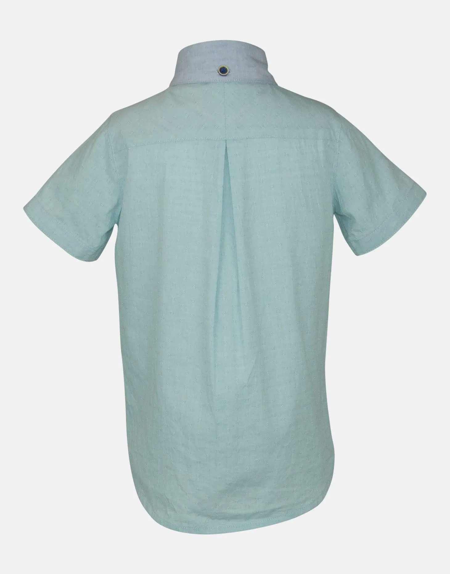 Aber: Aqua shirt & bow tie