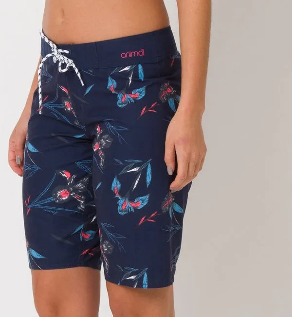 Animal Womens Fian Boardshorts