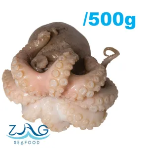 Australian Fresh Octopus