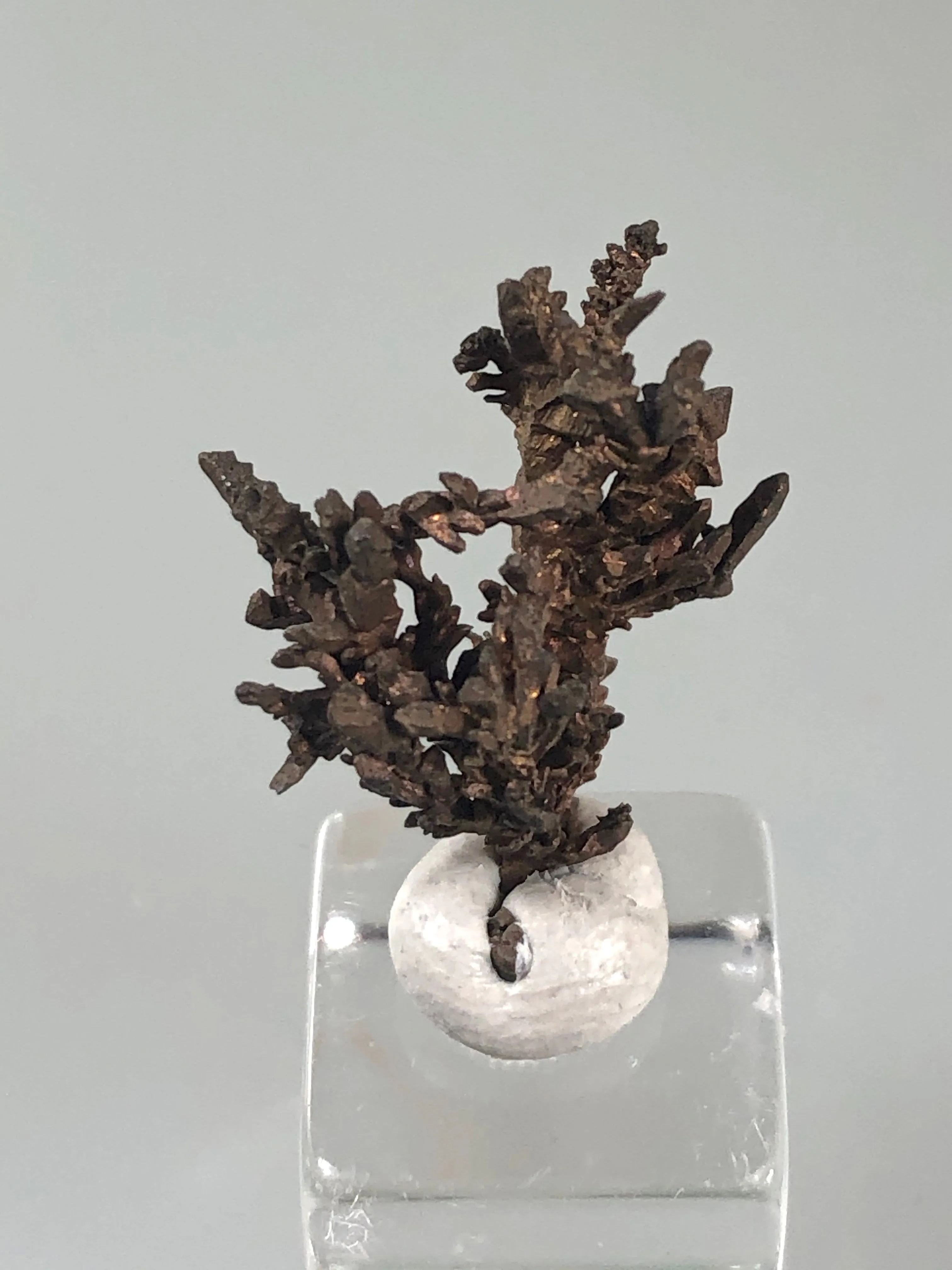 Copper, White Pine Mine, Lake Superior Copper District, Ontonogan County, Michigan, ex. Louis Lafayette Collection, Thumbnail 0.6 x 1.0 x 1.7 cm, $10. Online 12/17