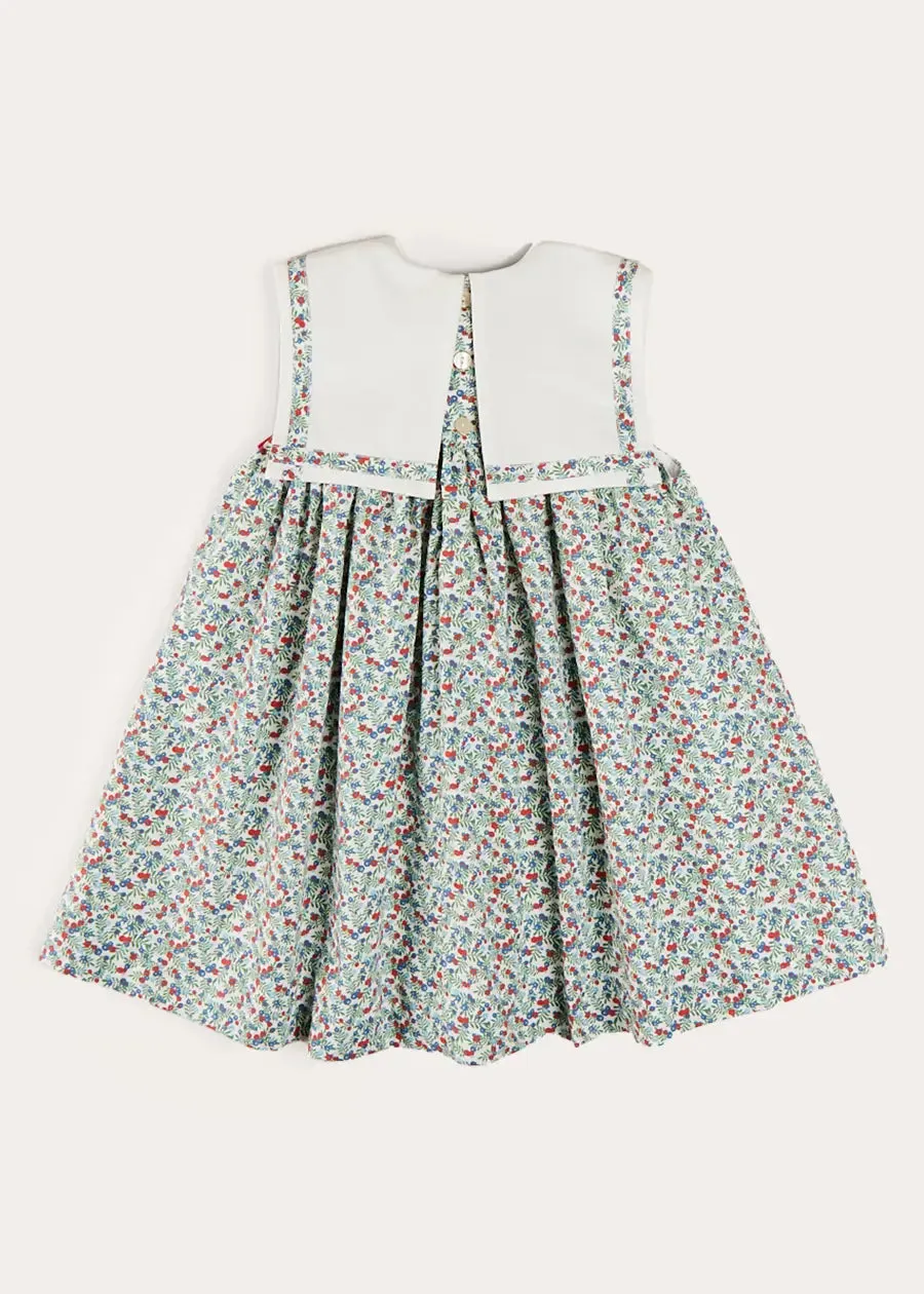 Evelyn Floral Sleeveless Bow Detail Trapeze Dress in Red (12mths-8yrs)