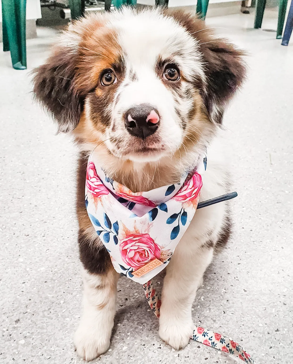 Fresh Blooms Bandana