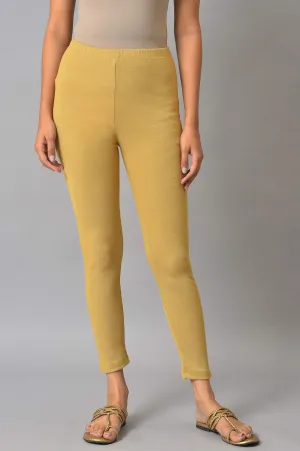Gold Lycra Winter Tights