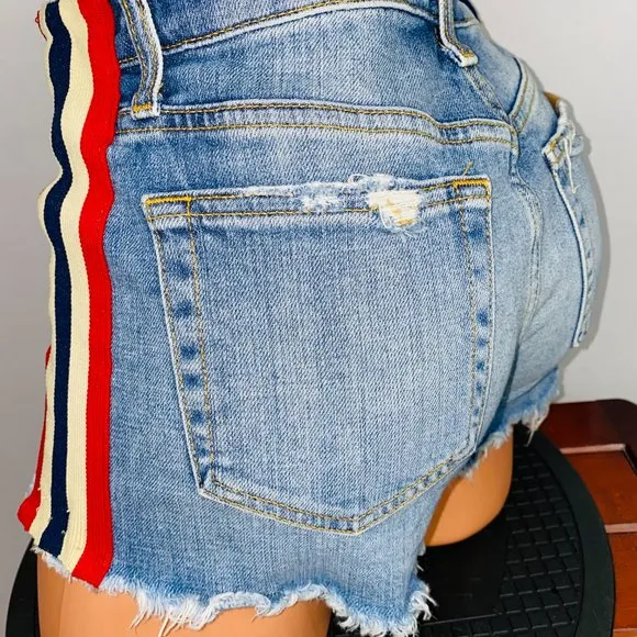 Joe's Jeans Holmes Jean Shorts in Kaili 27