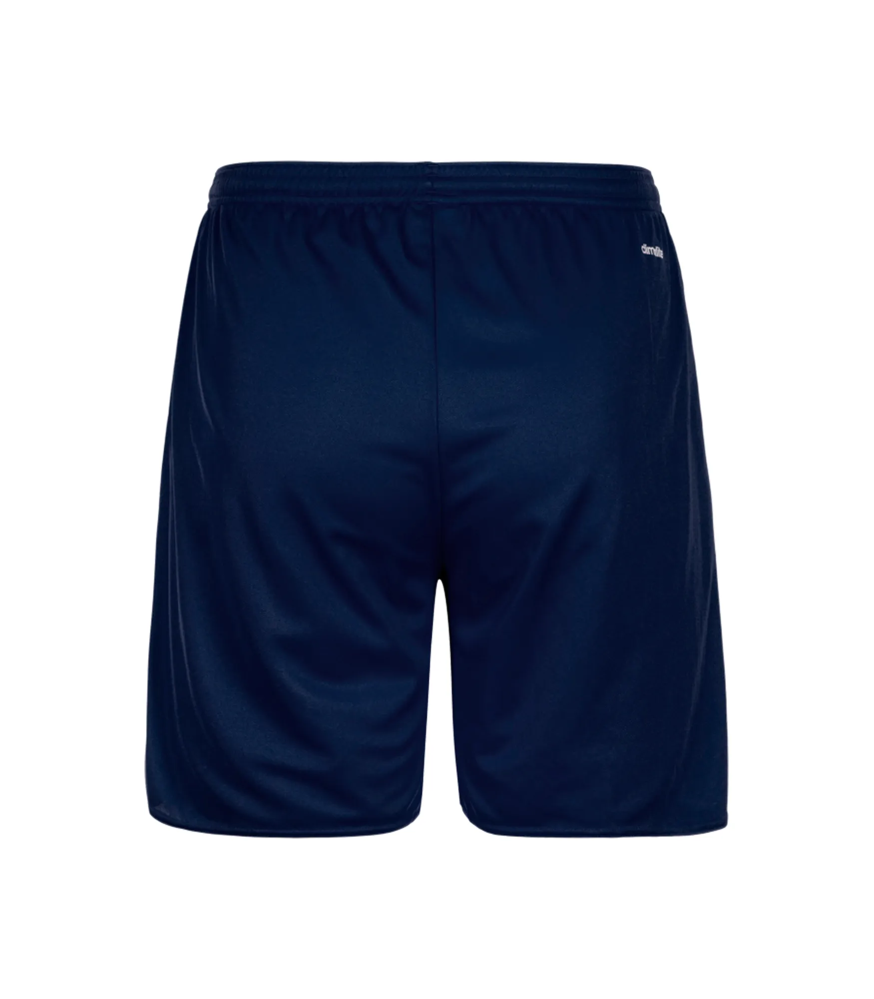 Parma 16 Shorts - Blue