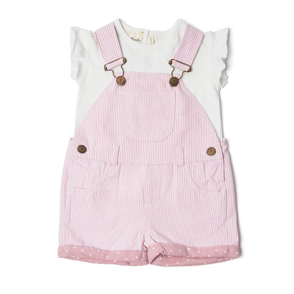 Pink Stripe Shorts