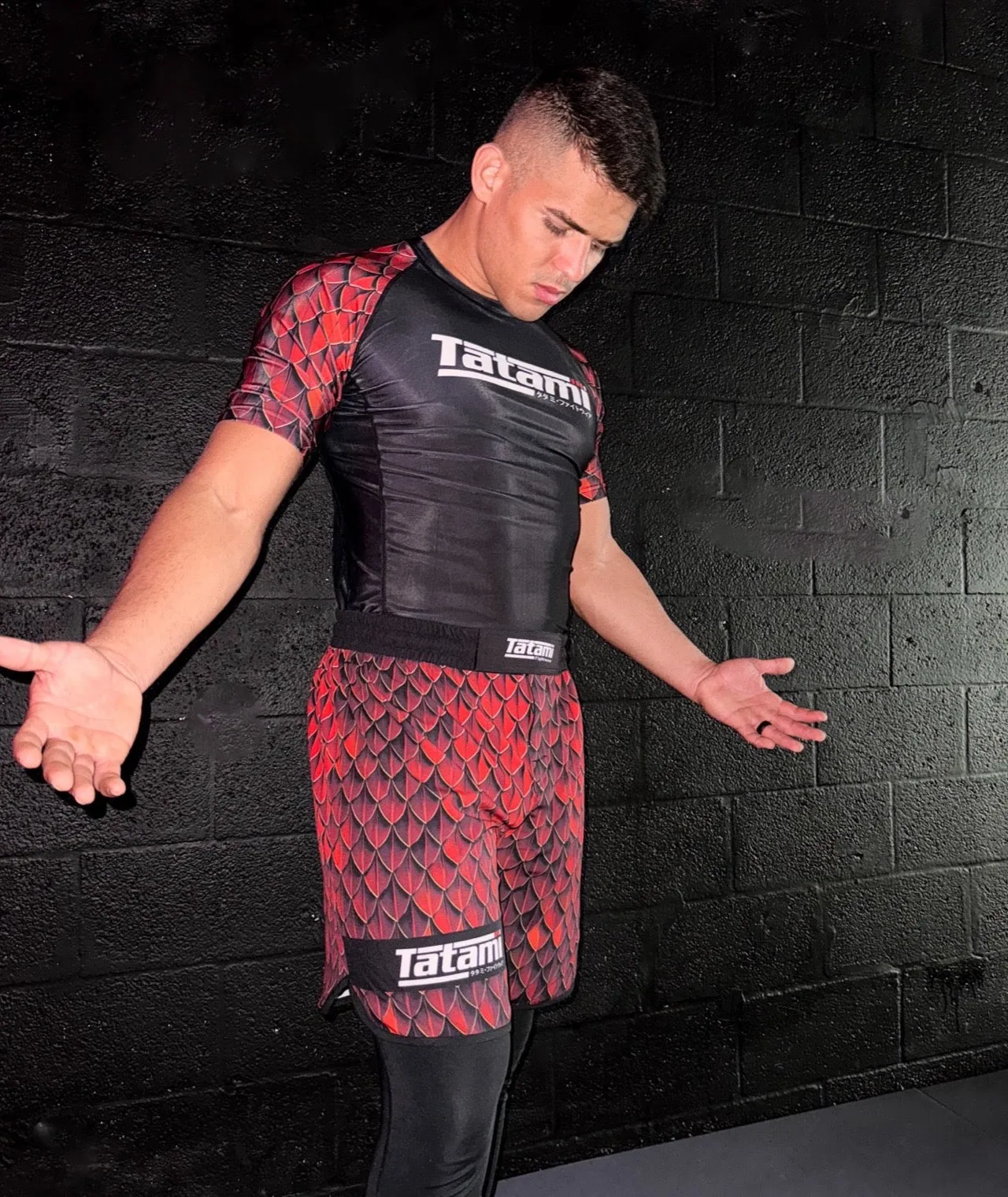 Recharge Grappling Shorts - Dragon
