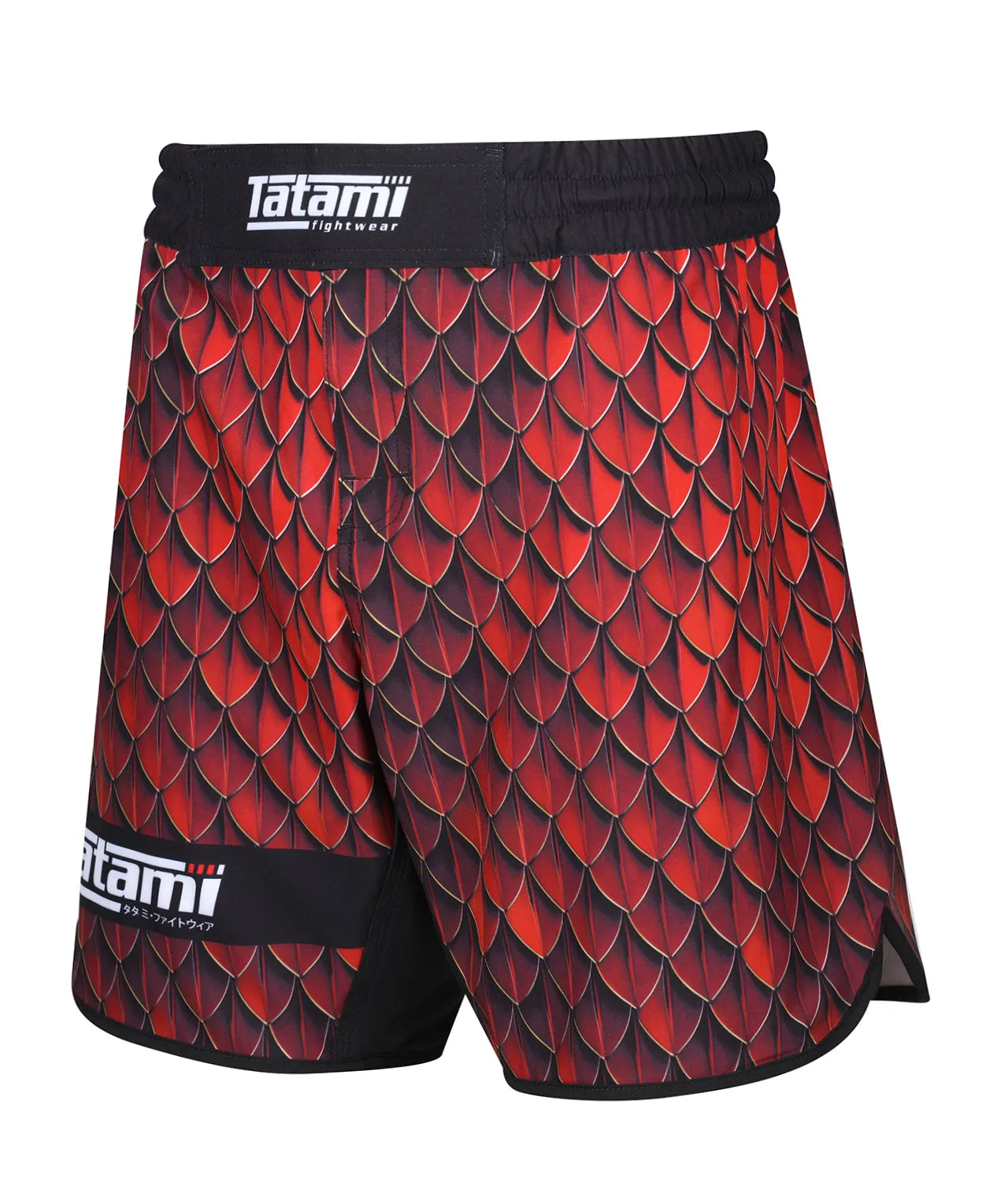 Recharge Grappling Shorts - Dragon
