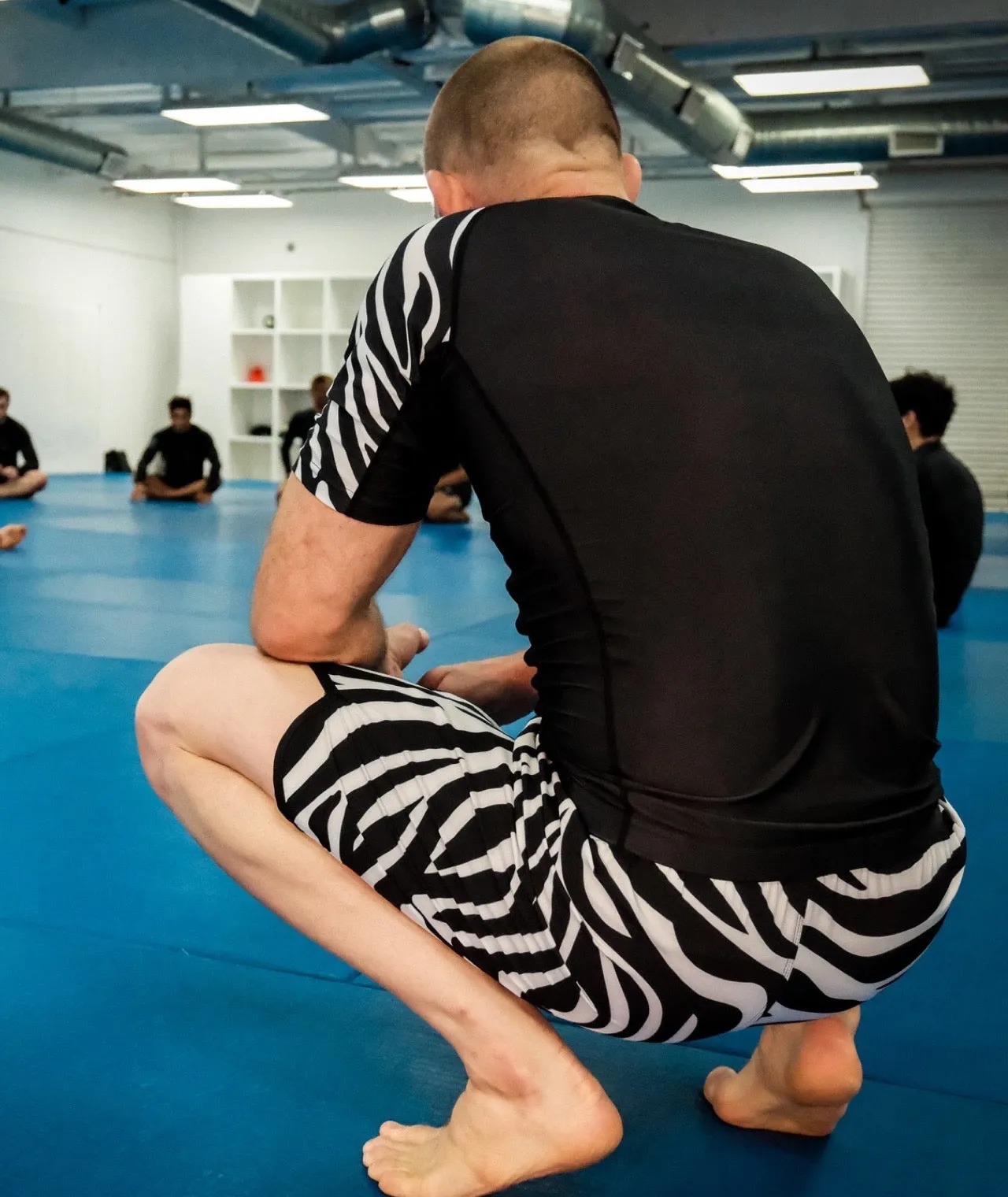 Recharge Grappling Shorts - Zebra