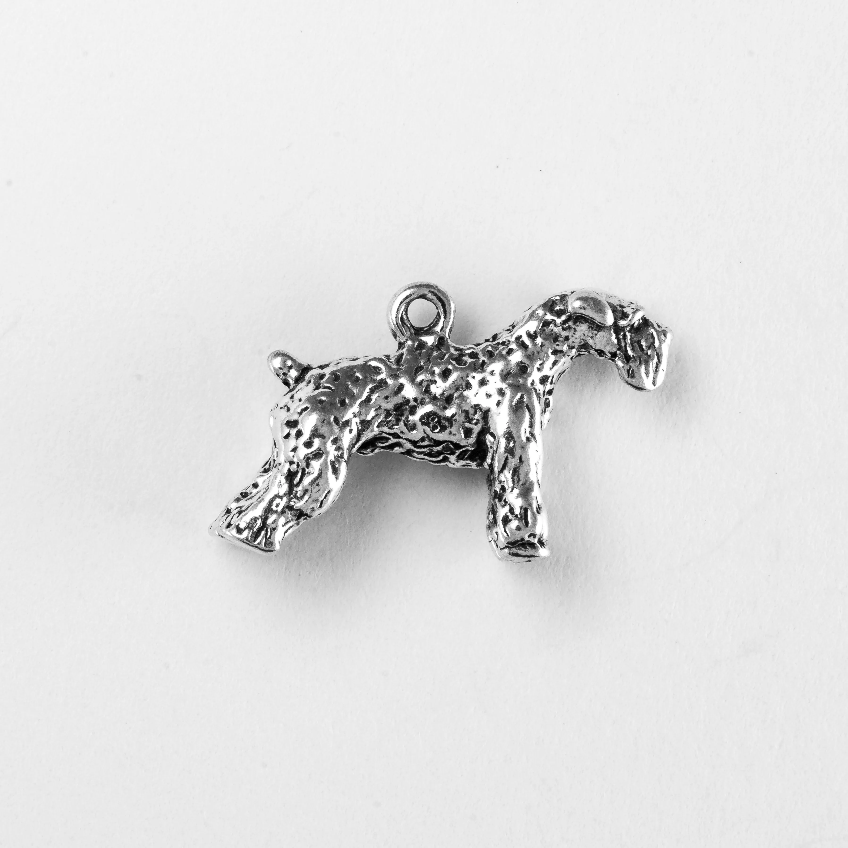 Schnauzer