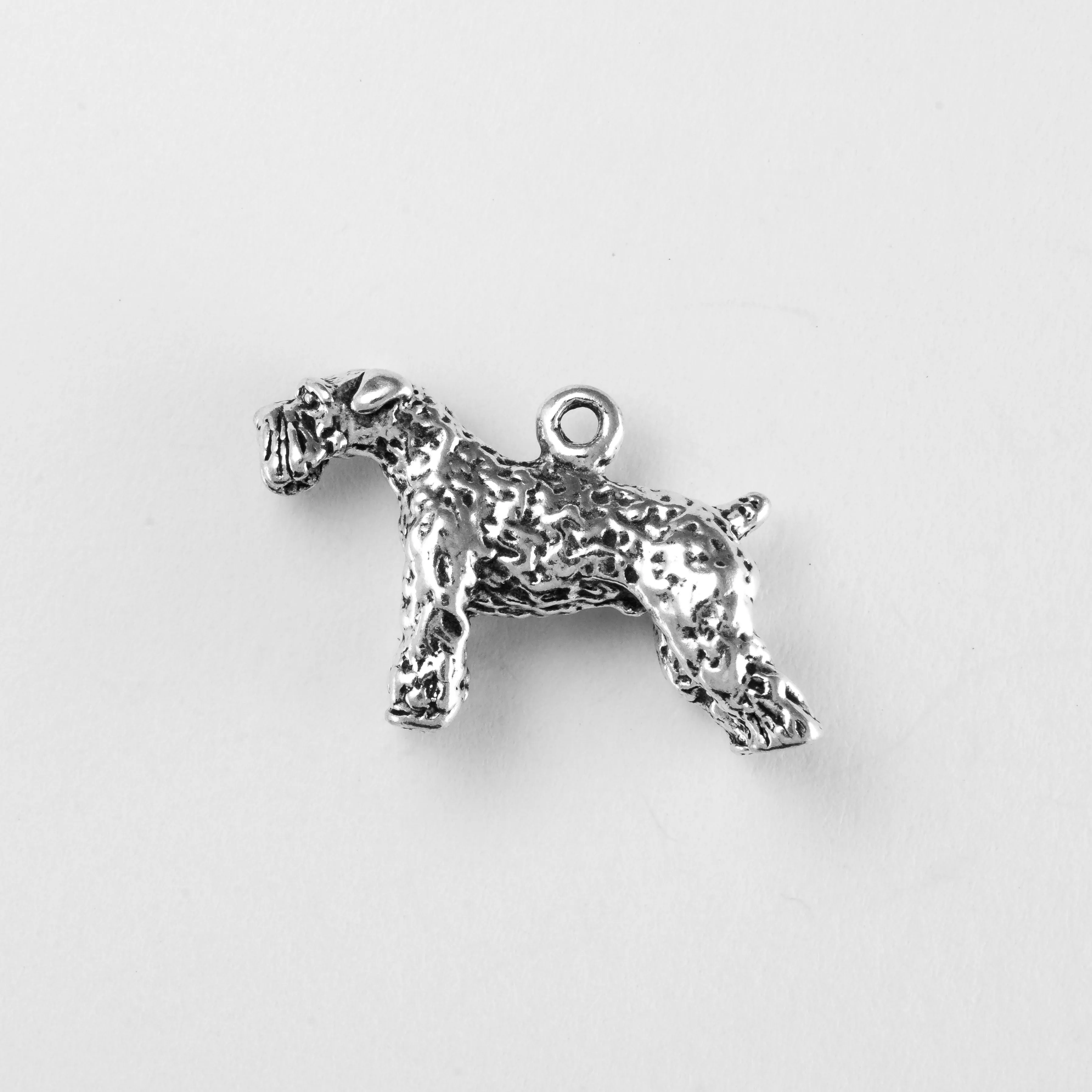Schnauzer