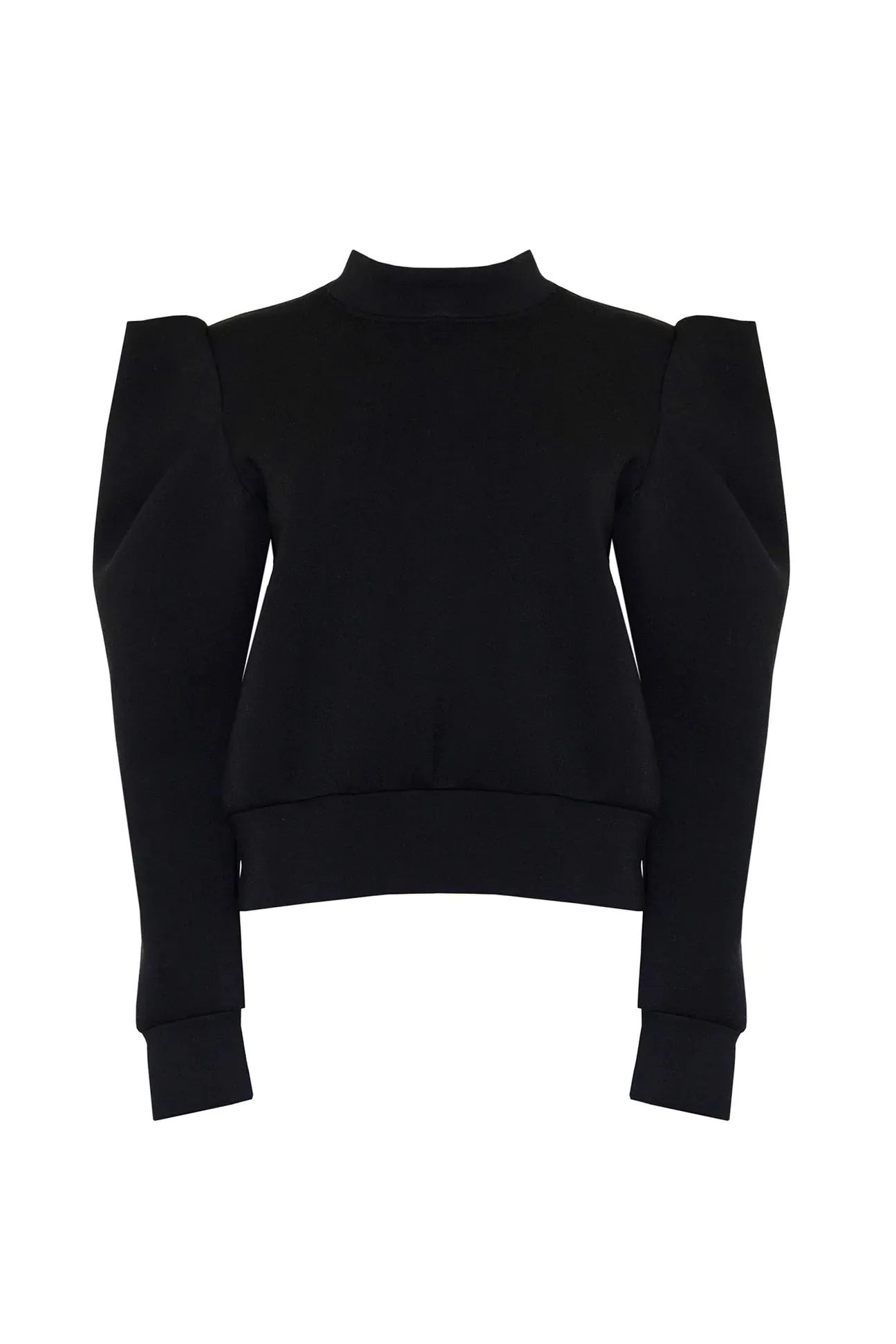 Teddy Sweatshirt